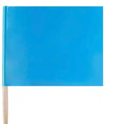 علم مع عصى (ازرق) 